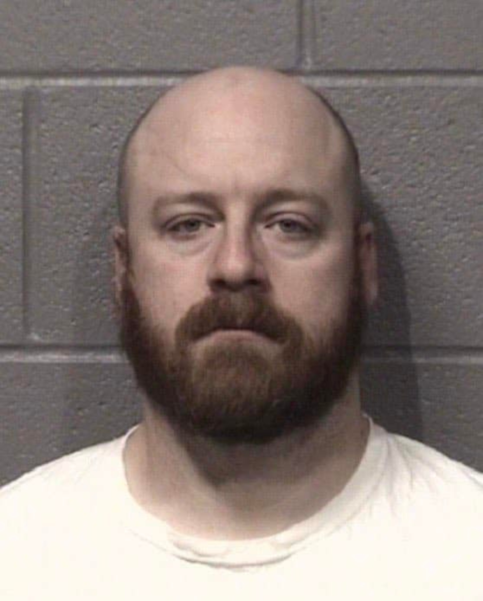 Elgin Porn - Elgin Police Officer charged with possession of child pornography | My  Huntley News