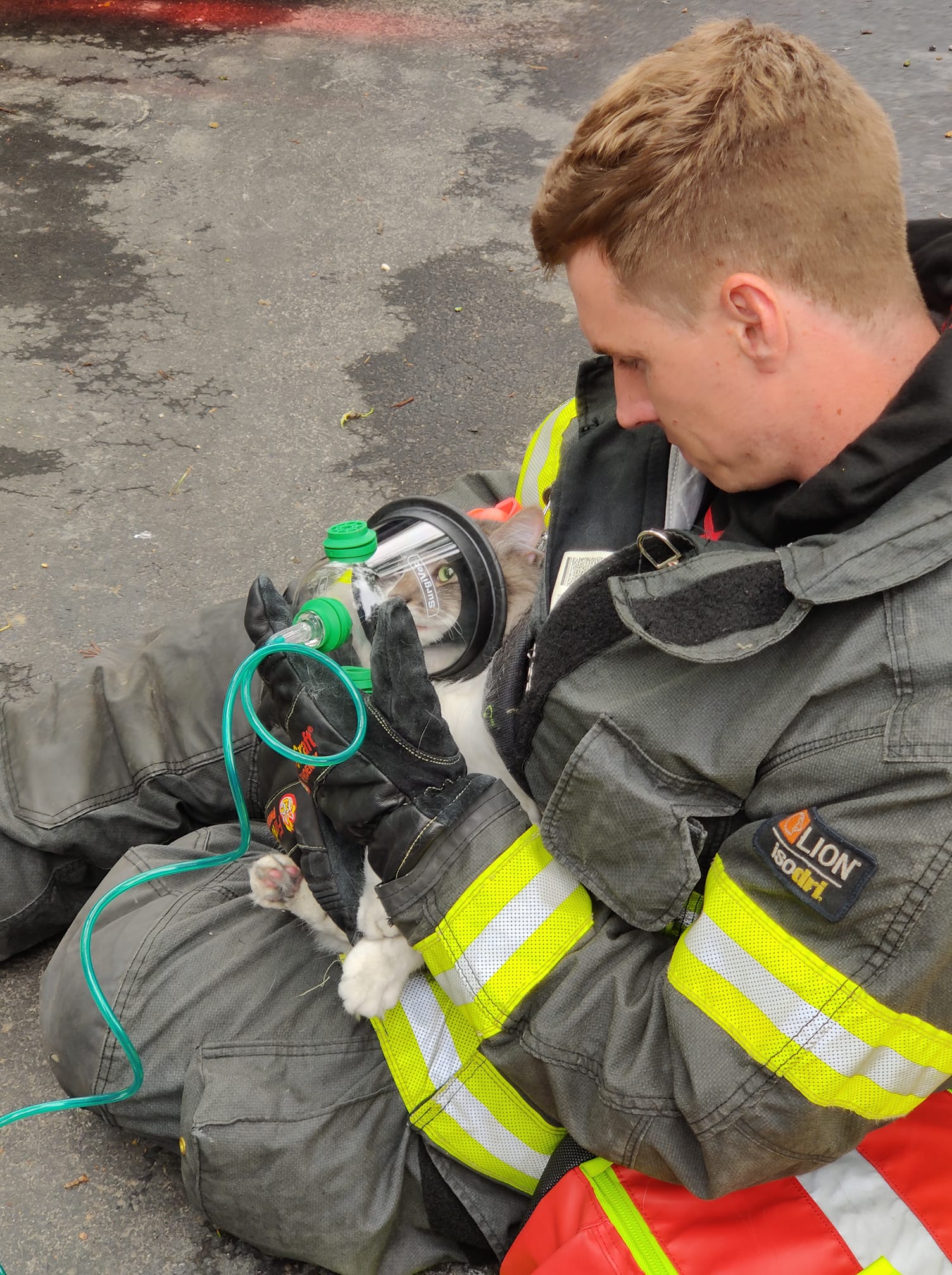 A firefighter gives a cat oxygen after having been rescued from a Carpentersville house fire on June 2