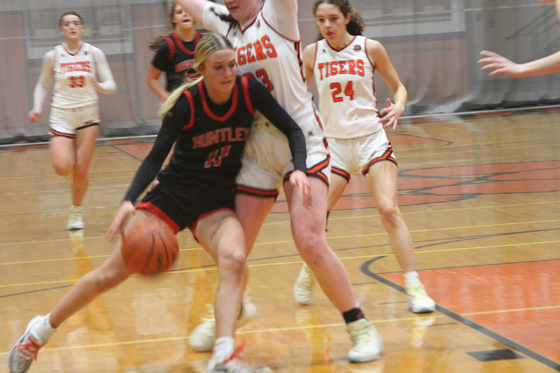 Anna Campanelli drives to the basket for the Red Raiders against Crystal Lake Central last season.