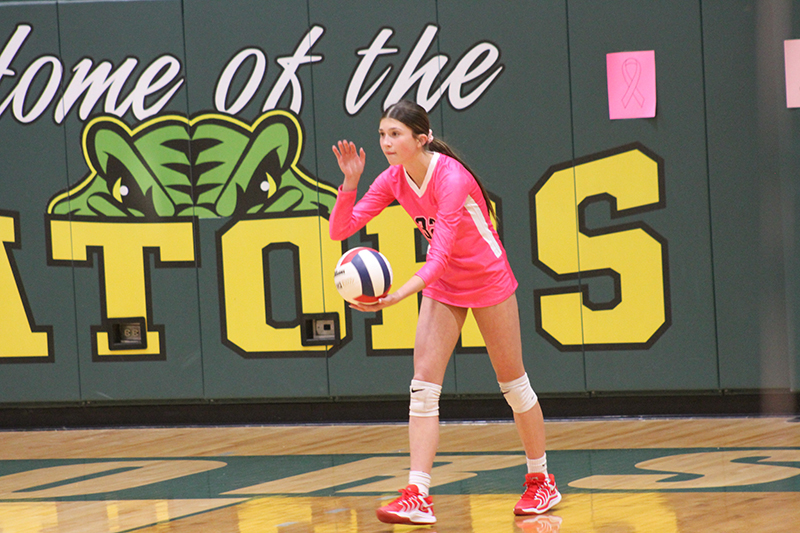 Huntley's Izzy Whitehouse concentrates before serving during a volleyball match at Crystal Lake South.